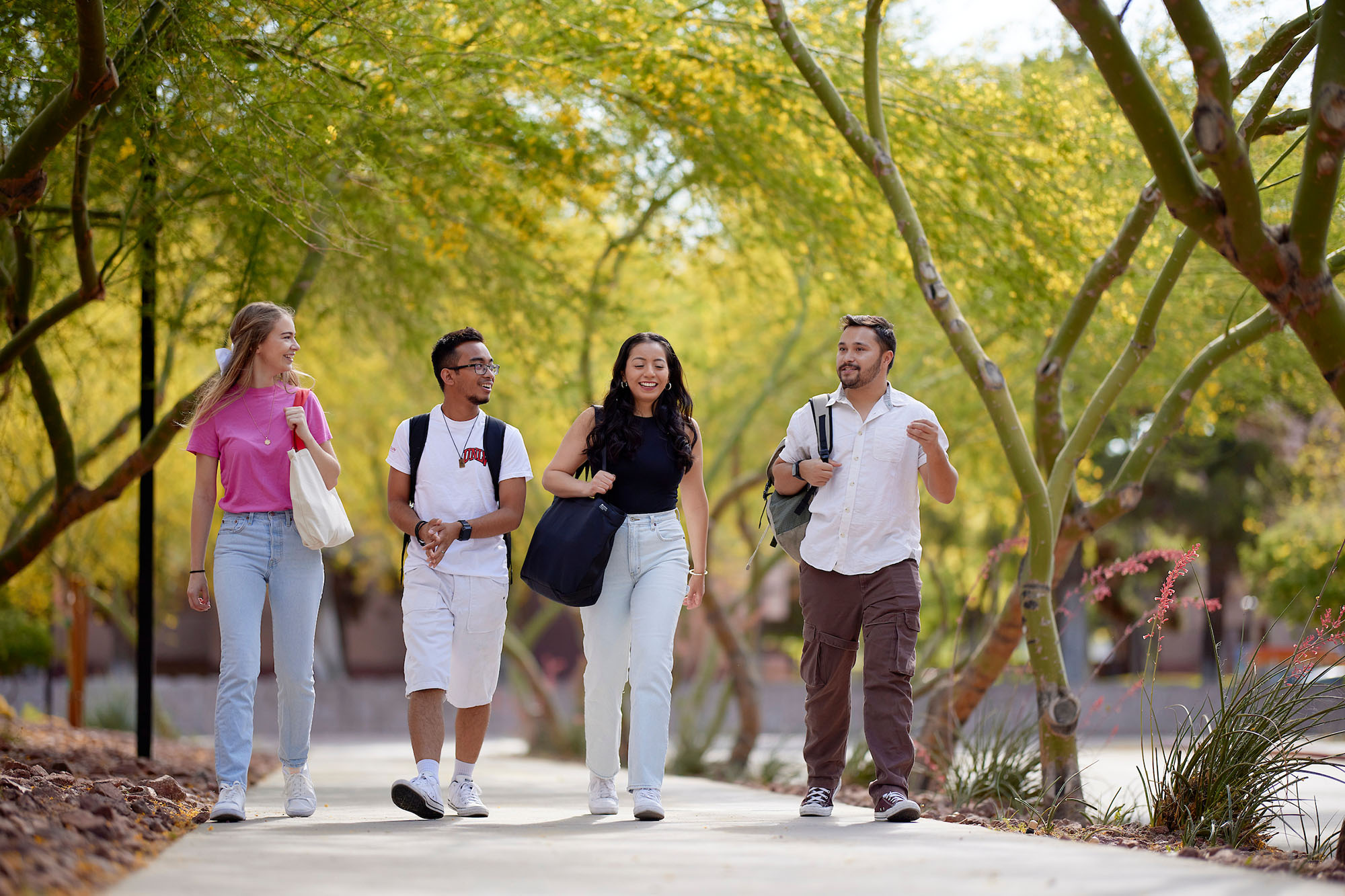 Four college students walking and talking together along a tree-lined campus pathway.