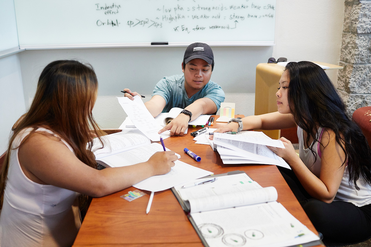three students working on course work in a group setting