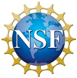 nsf logo