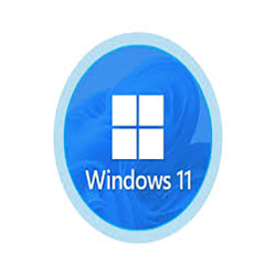 Windows 11 logo