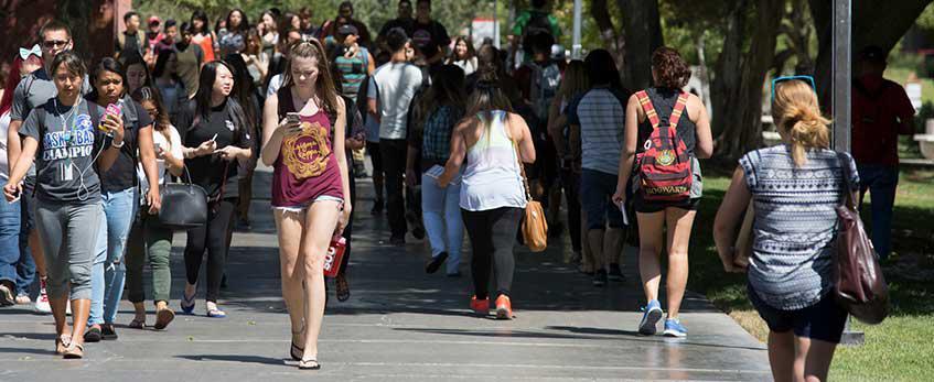 Students stroll a university pathway.
