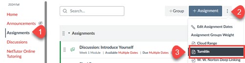 Screenshot of creating a Turnitin LTI 1.3 assignment in Canvas